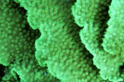 20000908_Mangrove_Bay_0023